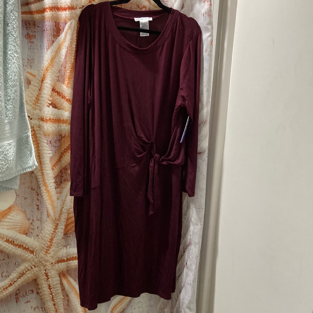 Maroon Dress